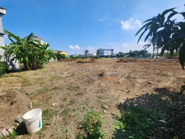 高雄路竹農地-4