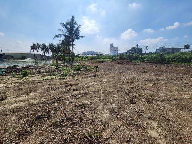 高雄路竹農地-8