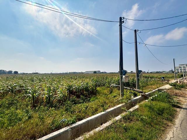 嘉義東石農地-3