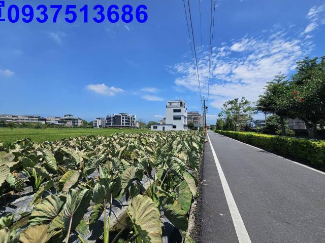 宜蘭羅東農地-15