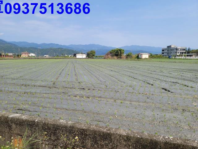 員山農地-3
