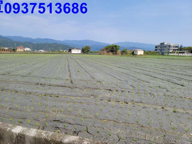 員山農地-4