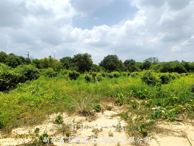 新化農地-6