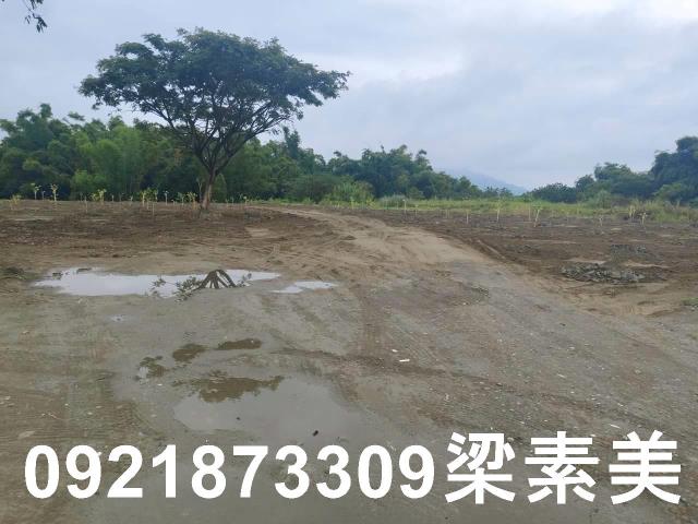 關廟農地-8
