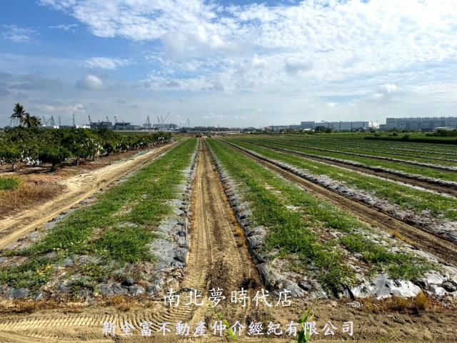 台南新市農地-8