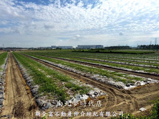 台南新市農地-9