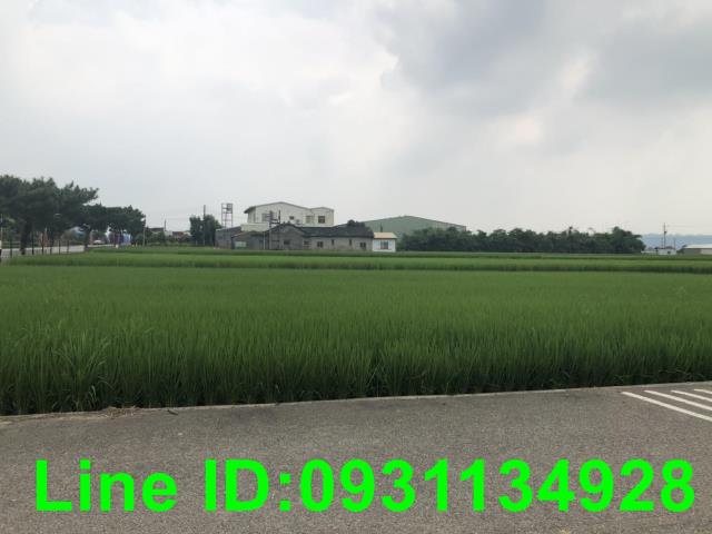 苗栗苑裡農地-1
