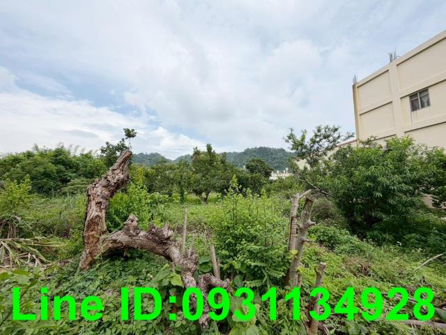 台中豐原農舍-3