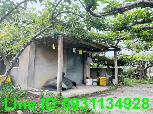 台中新社農地-4