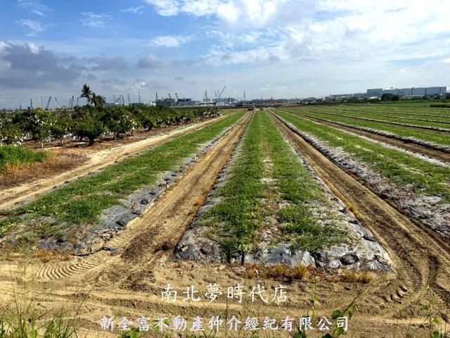 台南新市農地-2