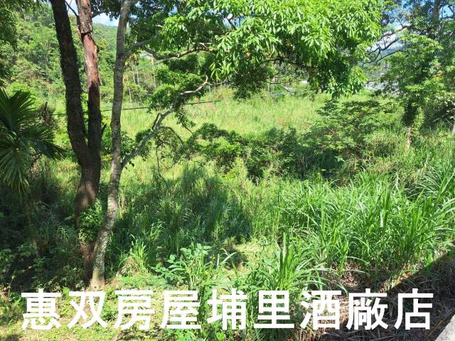 南投埔里農地-2