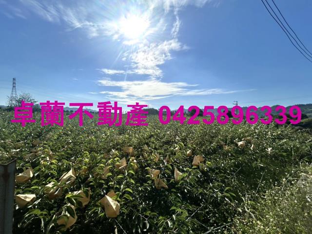 卓蘭農地-1