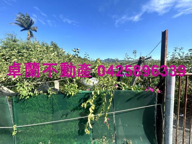卓蘭農地-8