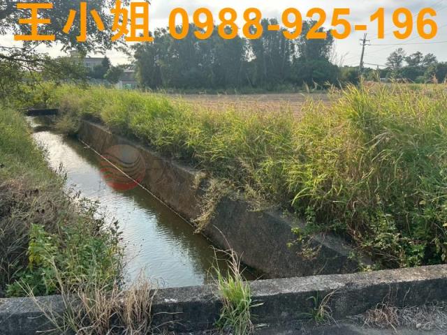 大園農地-11