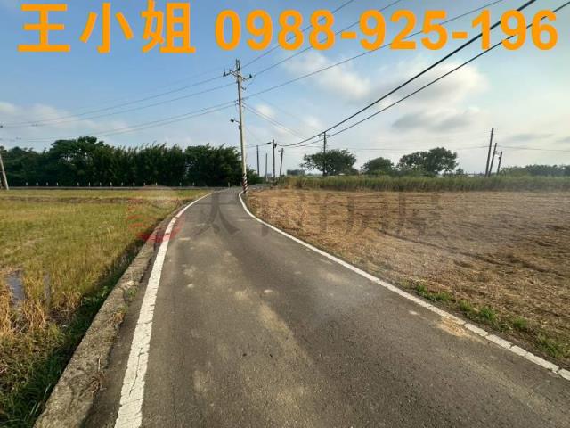 大園農地-1