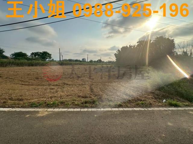 大園農地-2