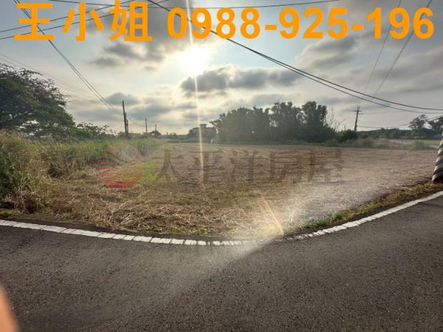 大園農地-7