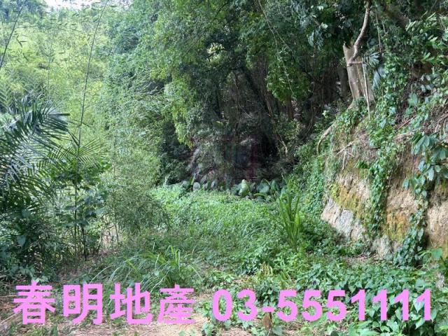 峨眉建地-2
