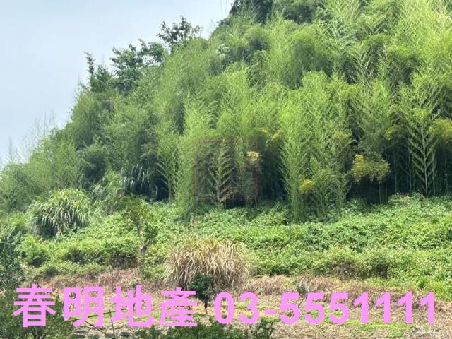 峨眉建地-3
