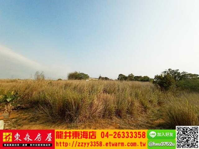 龍井旱-1