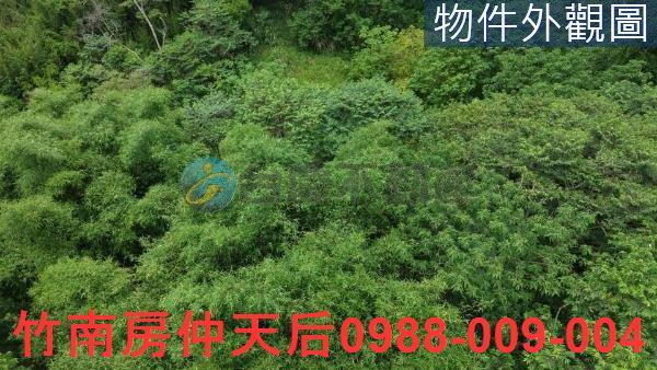 芎林農地-4