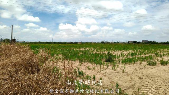新營農地-7