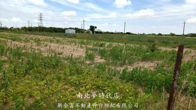 新營農地-9