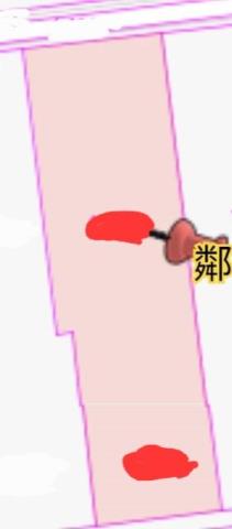 台南新市農地-14