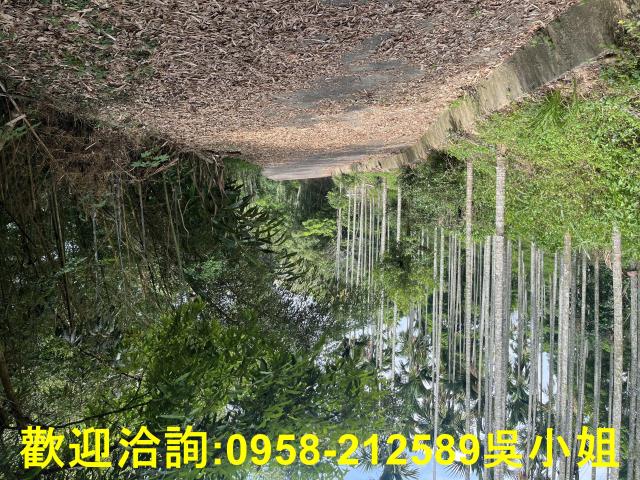 苗栗三義山坡地-9