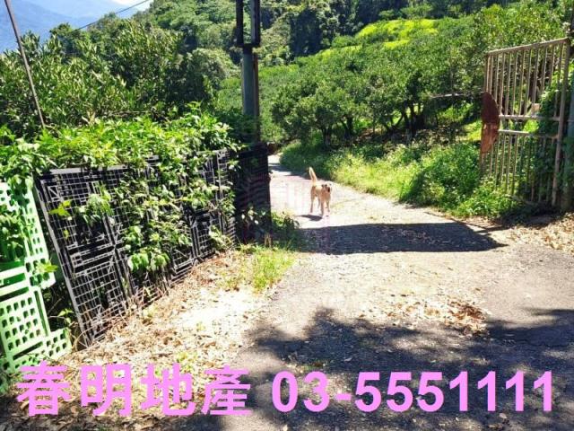 橫山農地-15