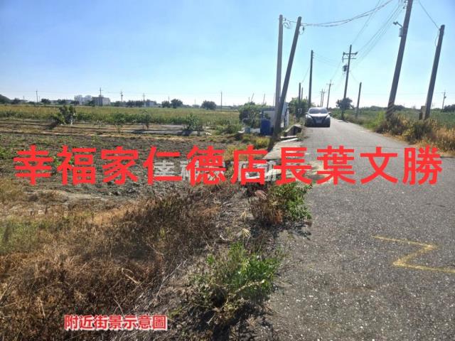 安定農地-2