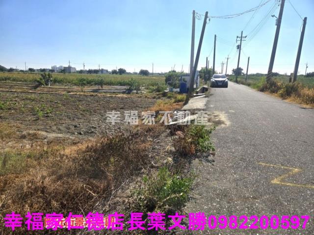 安定農地-2