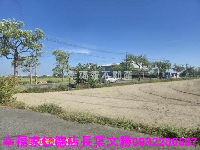 安定農地-5