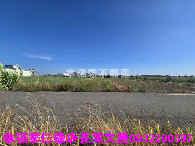 安定農地-7