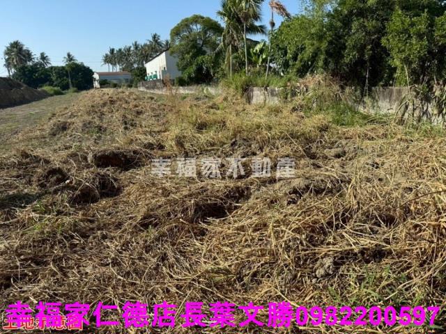 仁德農地-29