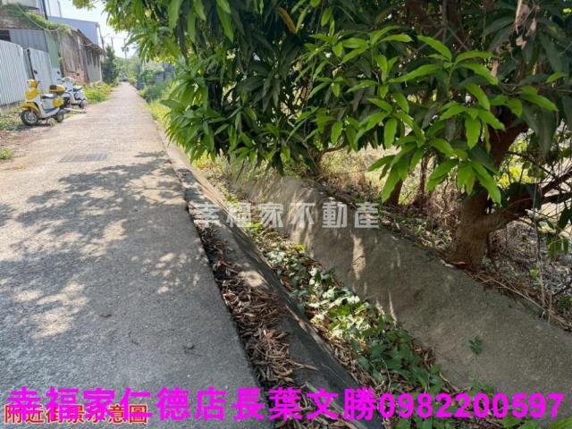 仁德農地-30