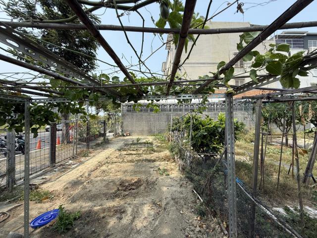 橋頭建地-3