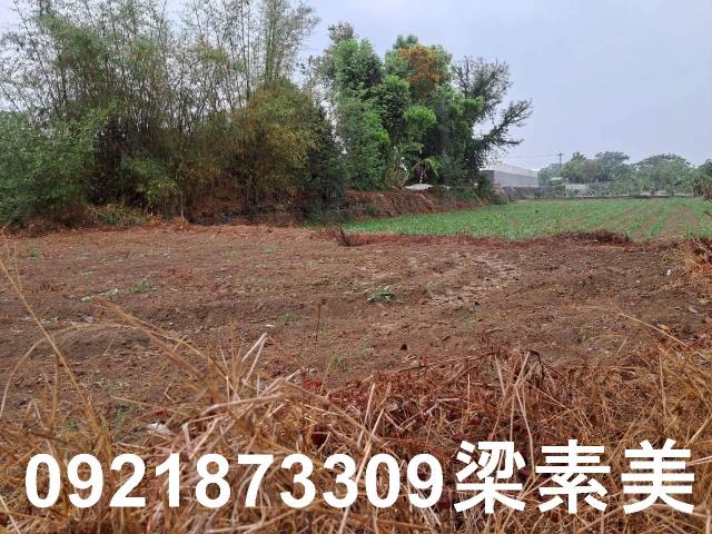 台南農地-10