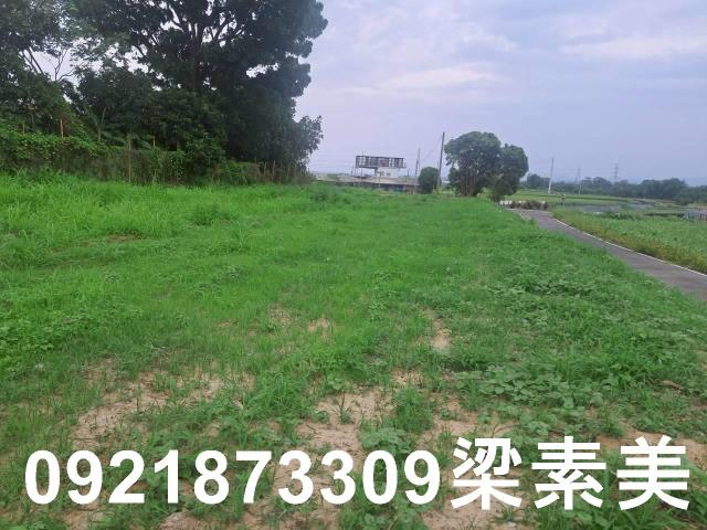 台南農地-3