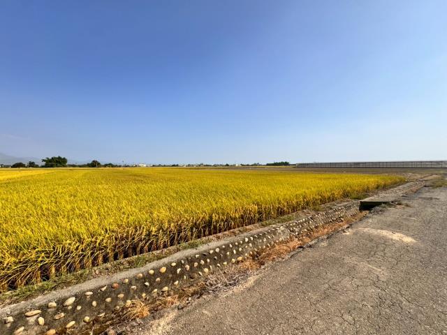 嘉義農地-2