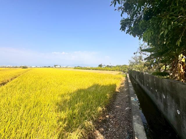 嘉義農地-5