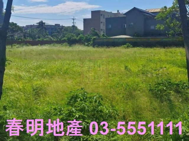 新竹新豐農地-1