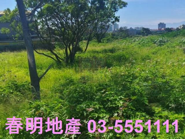 新竹新豐農地-2