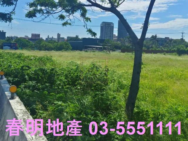 新竹新豐農地-6