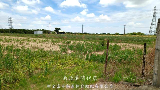 台南新營農地-4