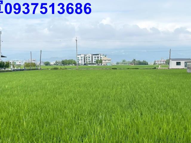 宜蘭壯圍農地-1