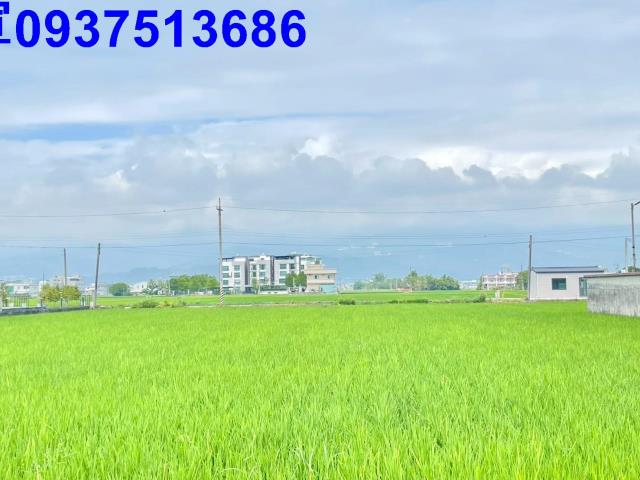 宜蘭壯圍農地-2