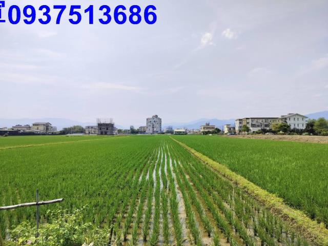員山農地-2