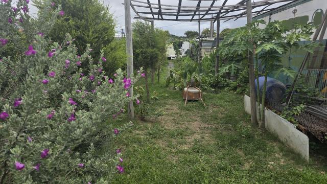 梓官農地-6