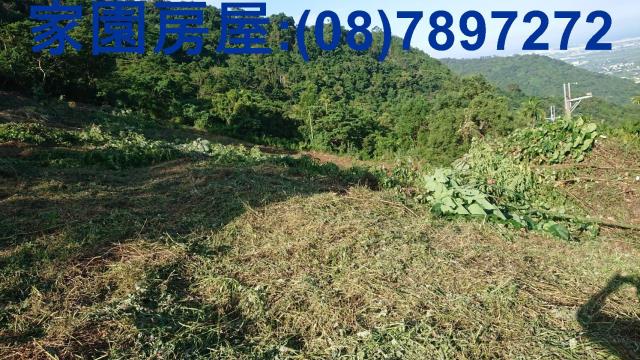 卑南農地-5